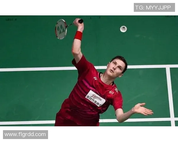 武汉羽毛球队冠军赛战术解析与表现评估全面回顾